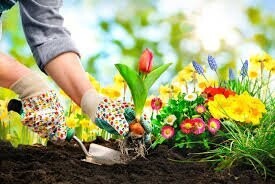 Instalación de jardines y zonas verdes