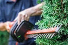Mantenimiento y mejora de jardines y zonas verdes