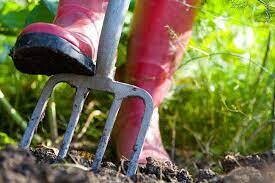 Preparación del medio de cultivo