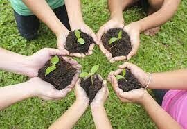 Mantenimiento y mejora de elementos vegetales