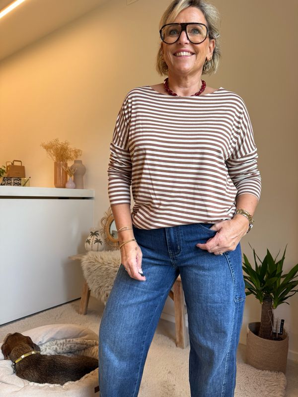 Anja bruin ecru lange mouw