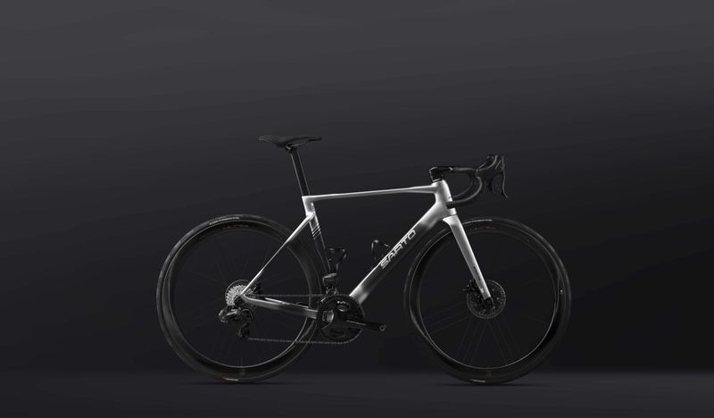 Sarto Raso TC Frameset