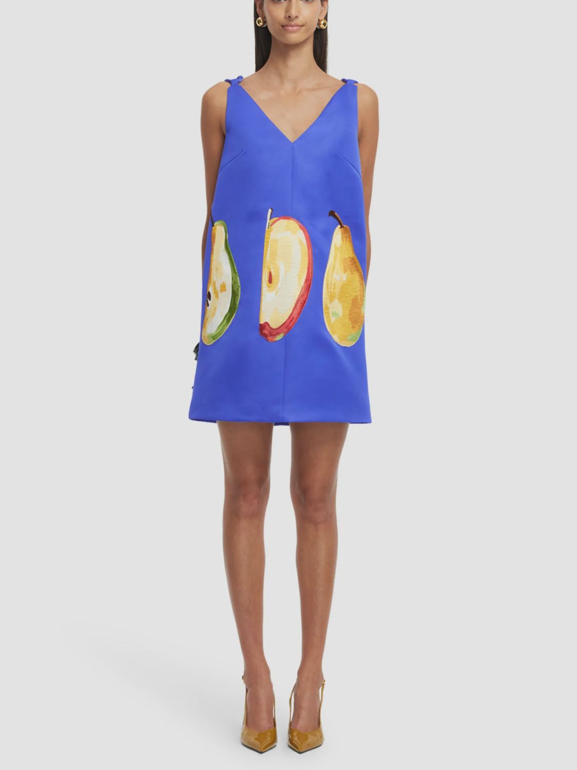 TAYLOR EMBROIDERED MINI DRESS