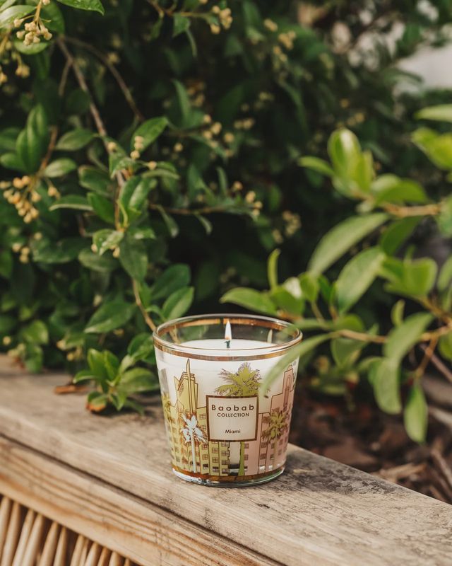 MY FIRST BAOBAB CANDLE- MIAMI