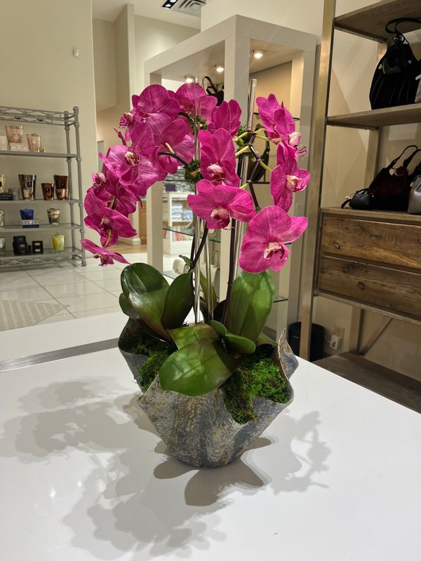 3 STEM ORCHID IN LARGE PAPER MACHE VESSEL