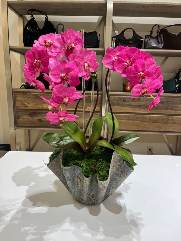 3 STEM ORCHID IN LARGE PAPER MACHE VESSEL