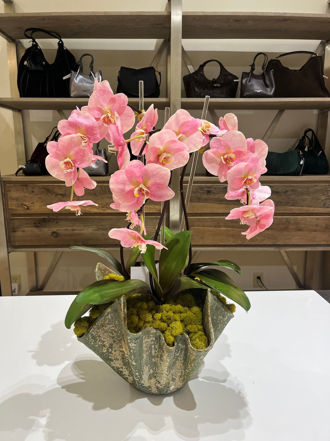 3 STEM ORCHID IN LARGE PAPER MACHE VESSEL, Color: PASTEL PINK ORCHID