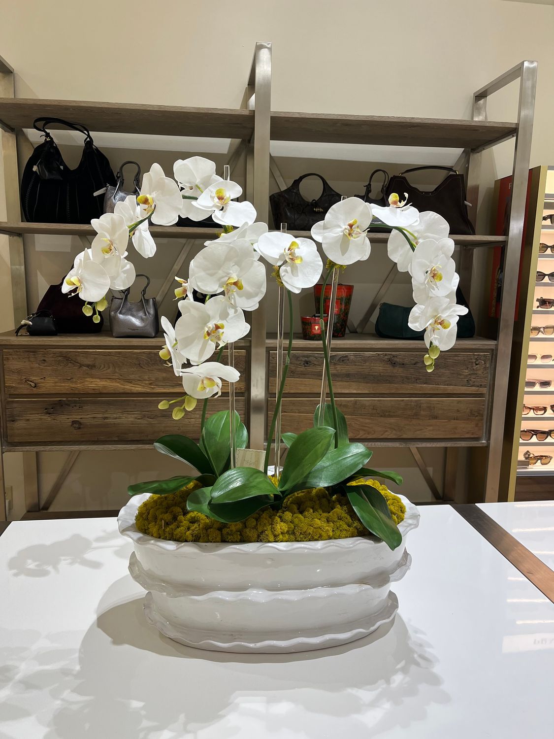 3 STEM ORCHID IN VIETRI VESSEL, Color: WHITE OVAL VESSEL