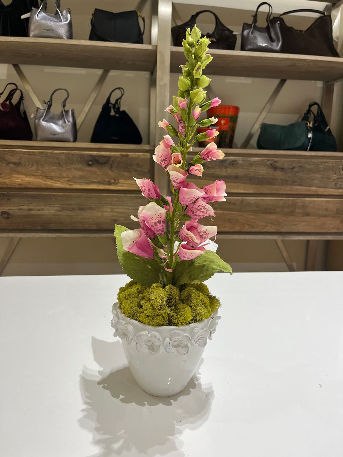 FOX GLOVE IN VIETRI VESSEL