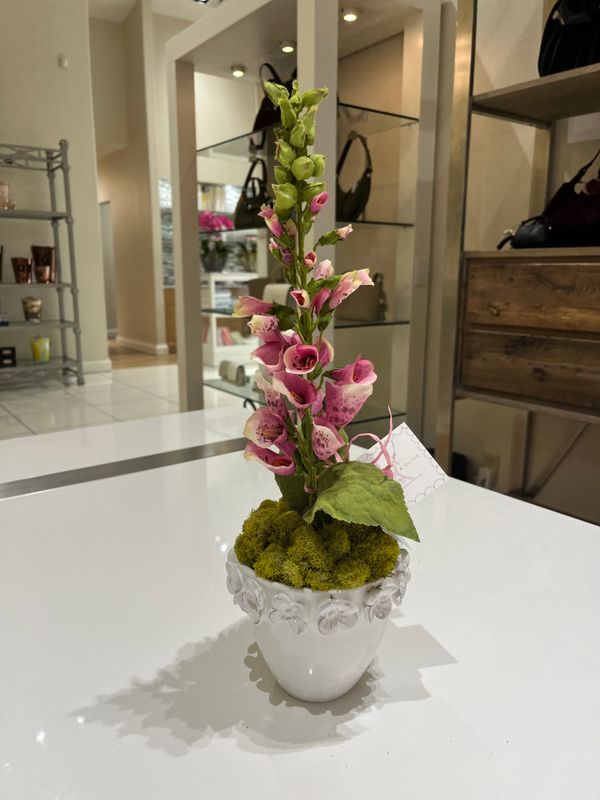 PINK FOX GLOVE IN VIETRI VESSEL- WHITE
