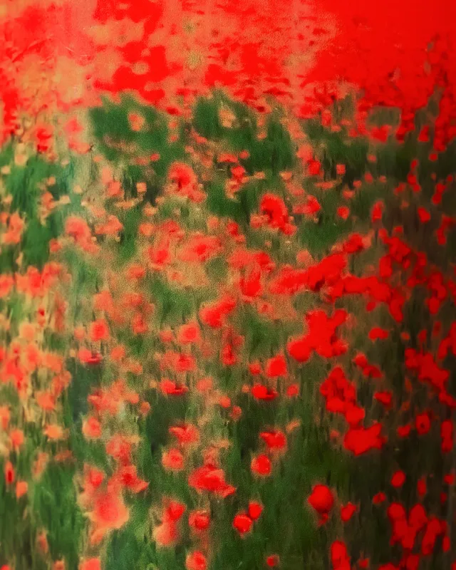 CANDLE ARTY FLOWERS POPPIES