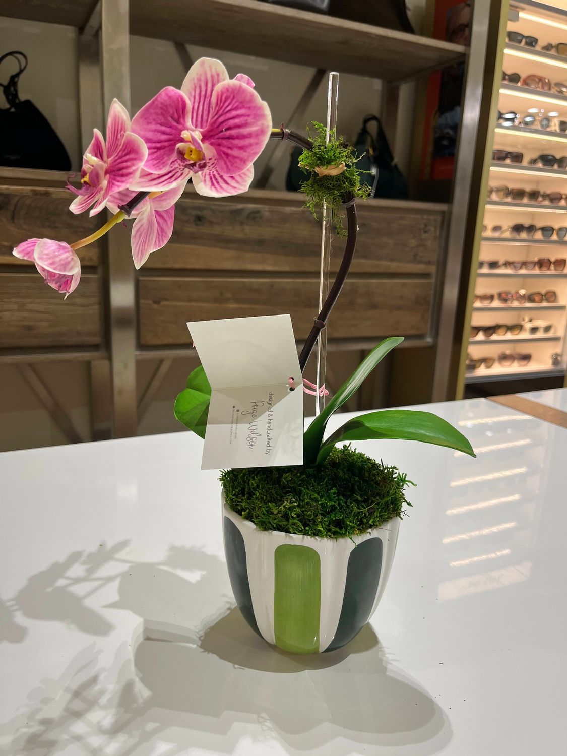 PETIT SINGLE STEM ORCHID IN VIETRI VESSEL, Color: FUSCHIA ORCHID W GREEN VESSEL