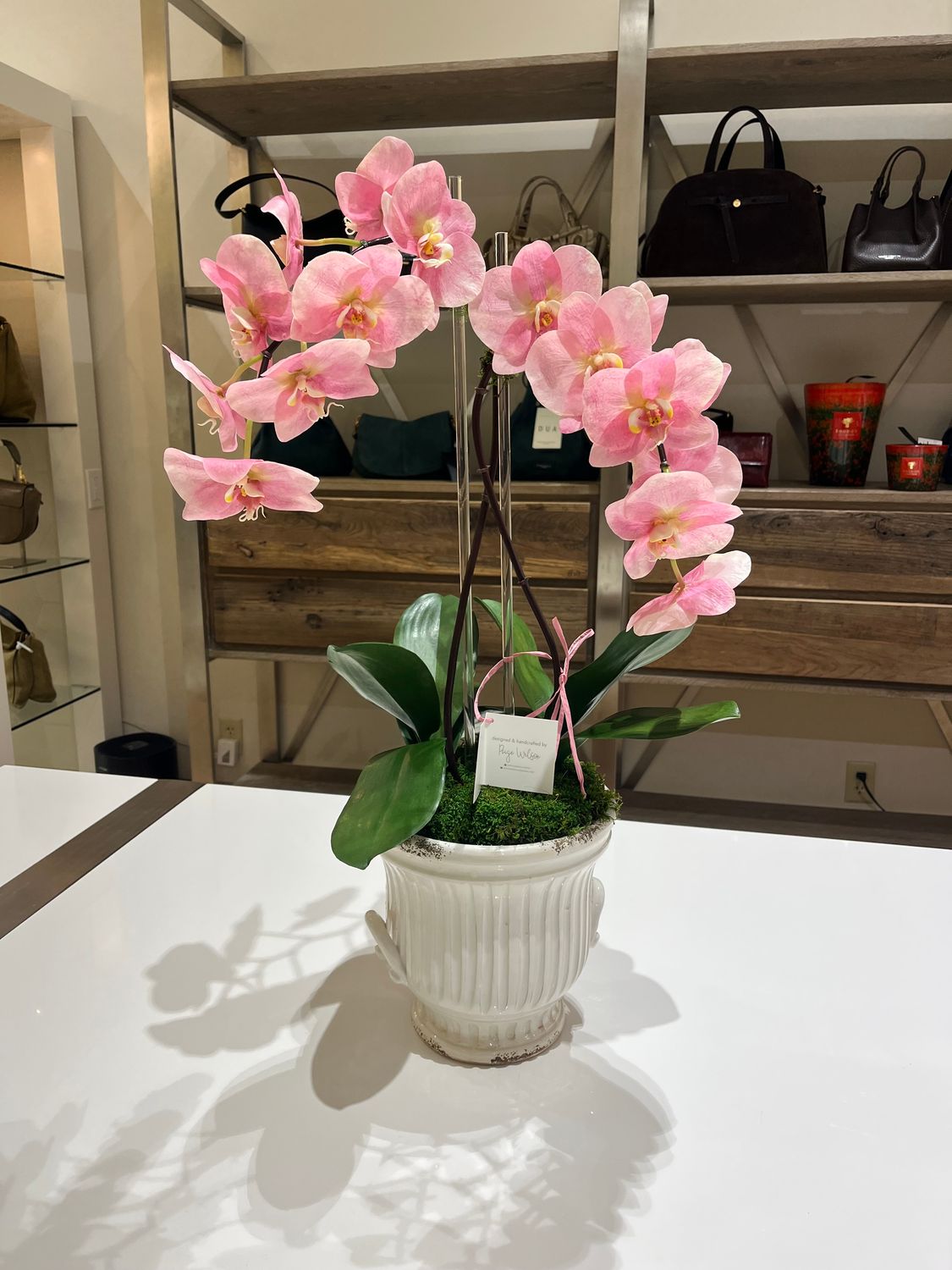 2 STEM ORCHID IN MEDIUM VIETRI RUSTIC GARDEN HANDLED CACHEPOT
