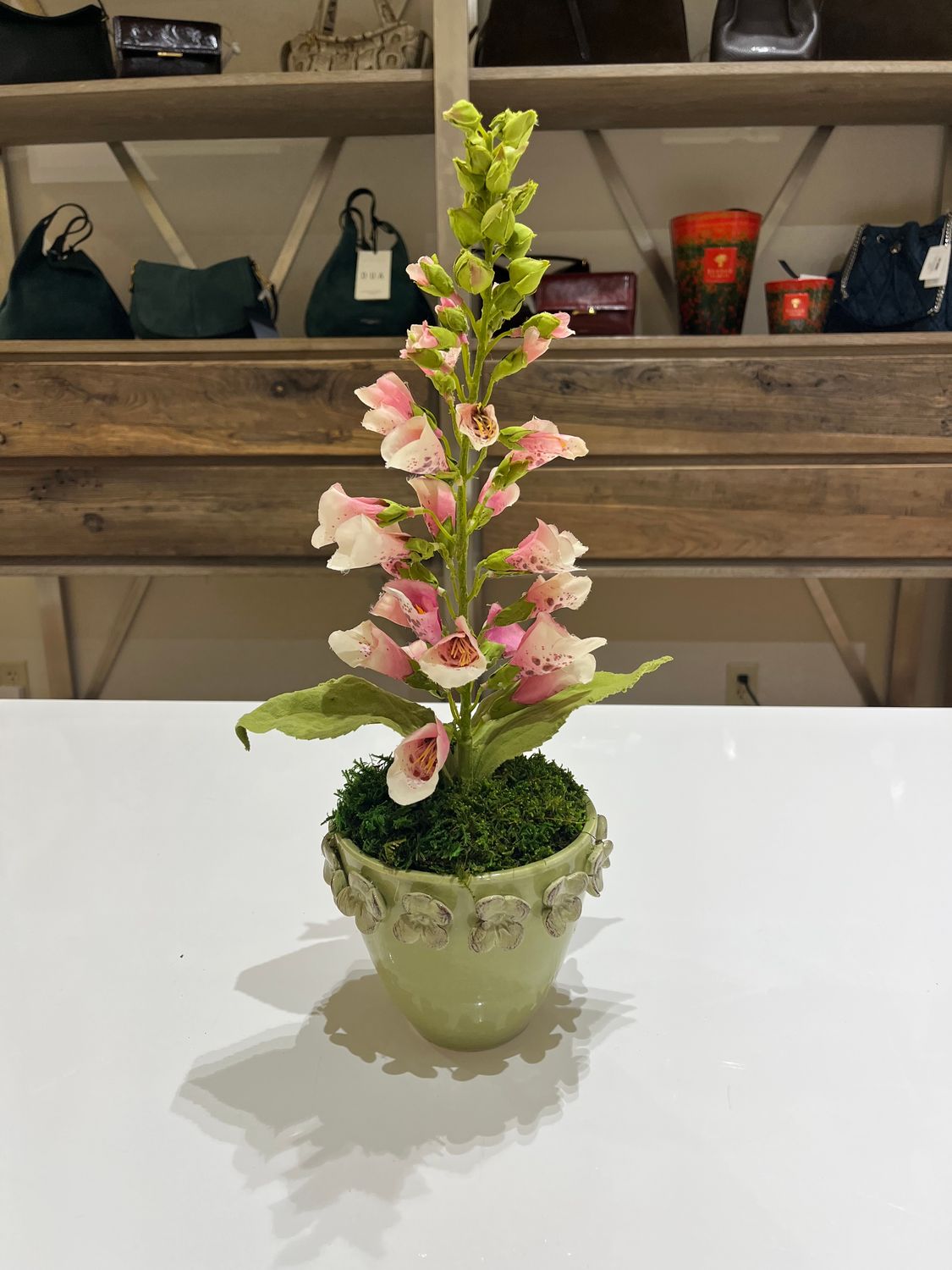 PINK FOX GLOVE IN VIETRI VESSEL- GREEN