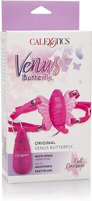 Original Venus Butterfly - Calexotics