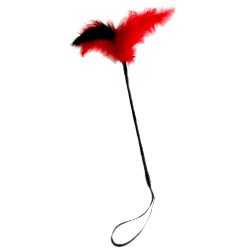 Pluma Acariciadora - Xes Accesorios