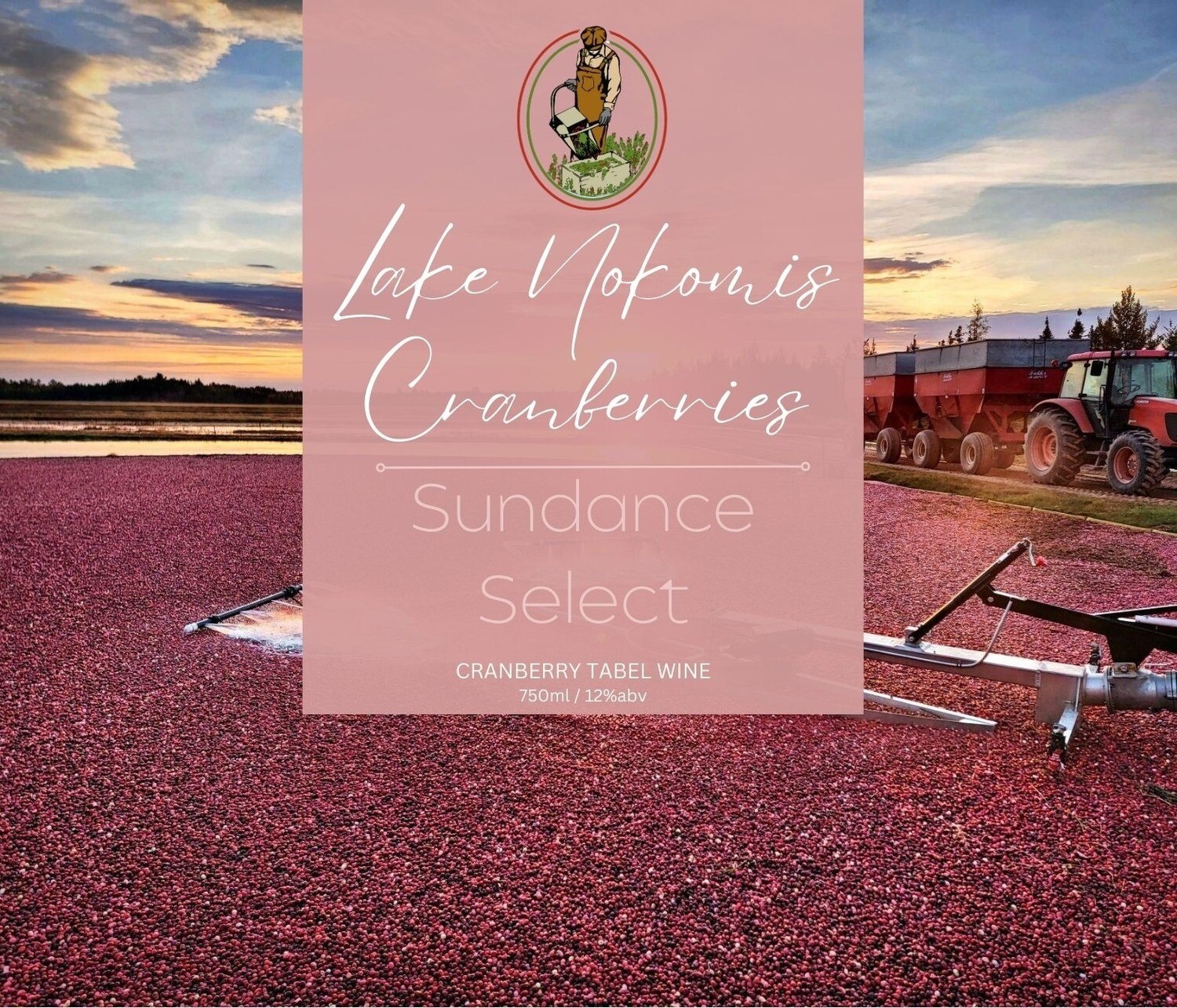 Sundance Cranberry Wine