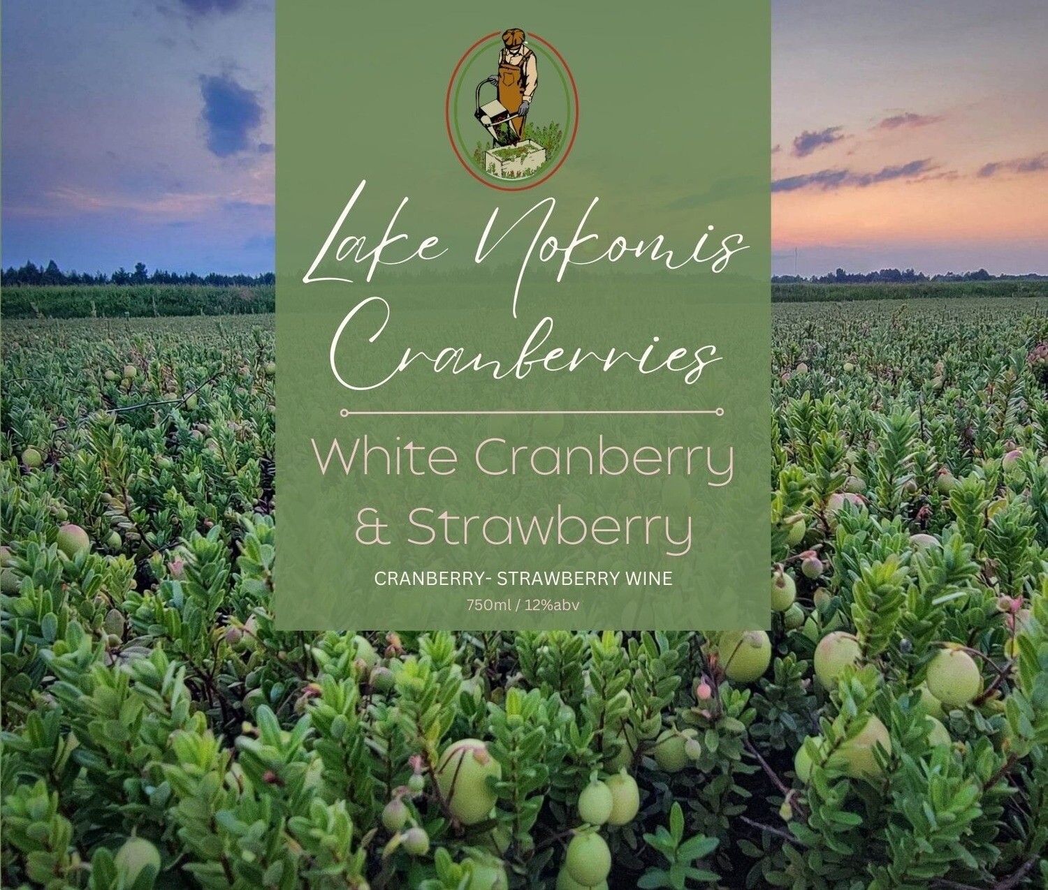 Cranberry Strawberry Wine