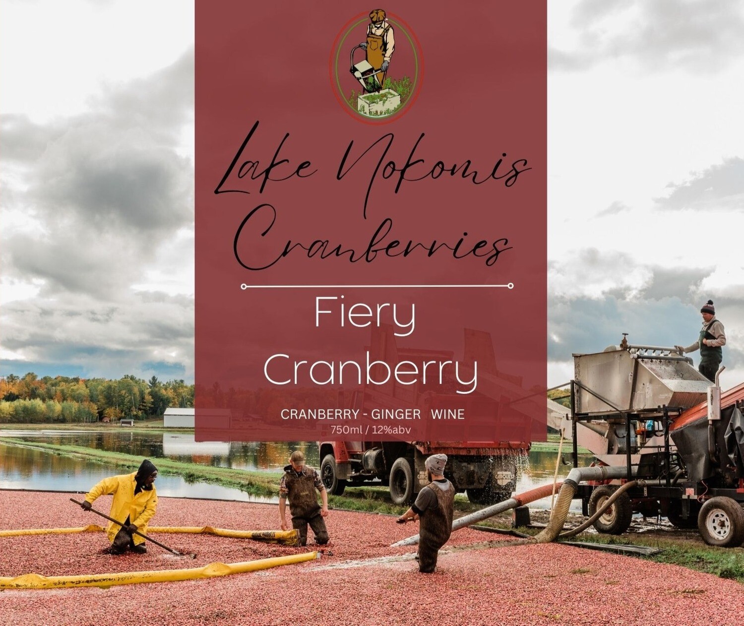 Fiery Cranberry Wine