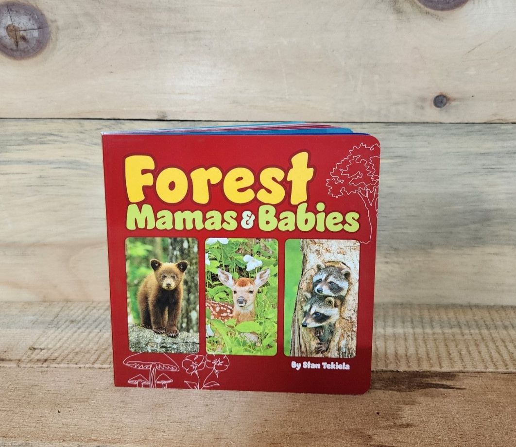 Forest Mamas &amp; Babies