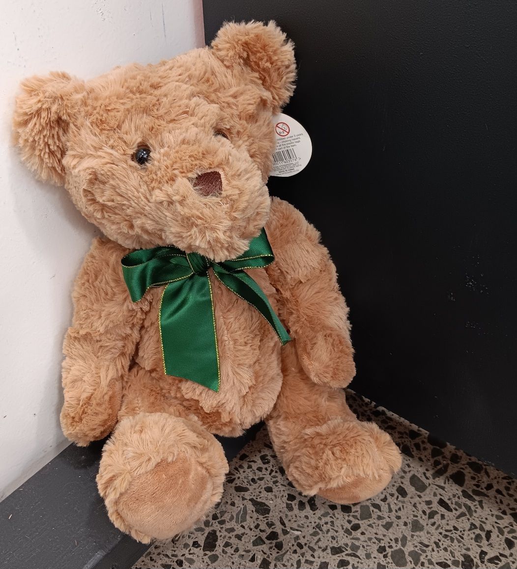 Teddy Bear DanDee