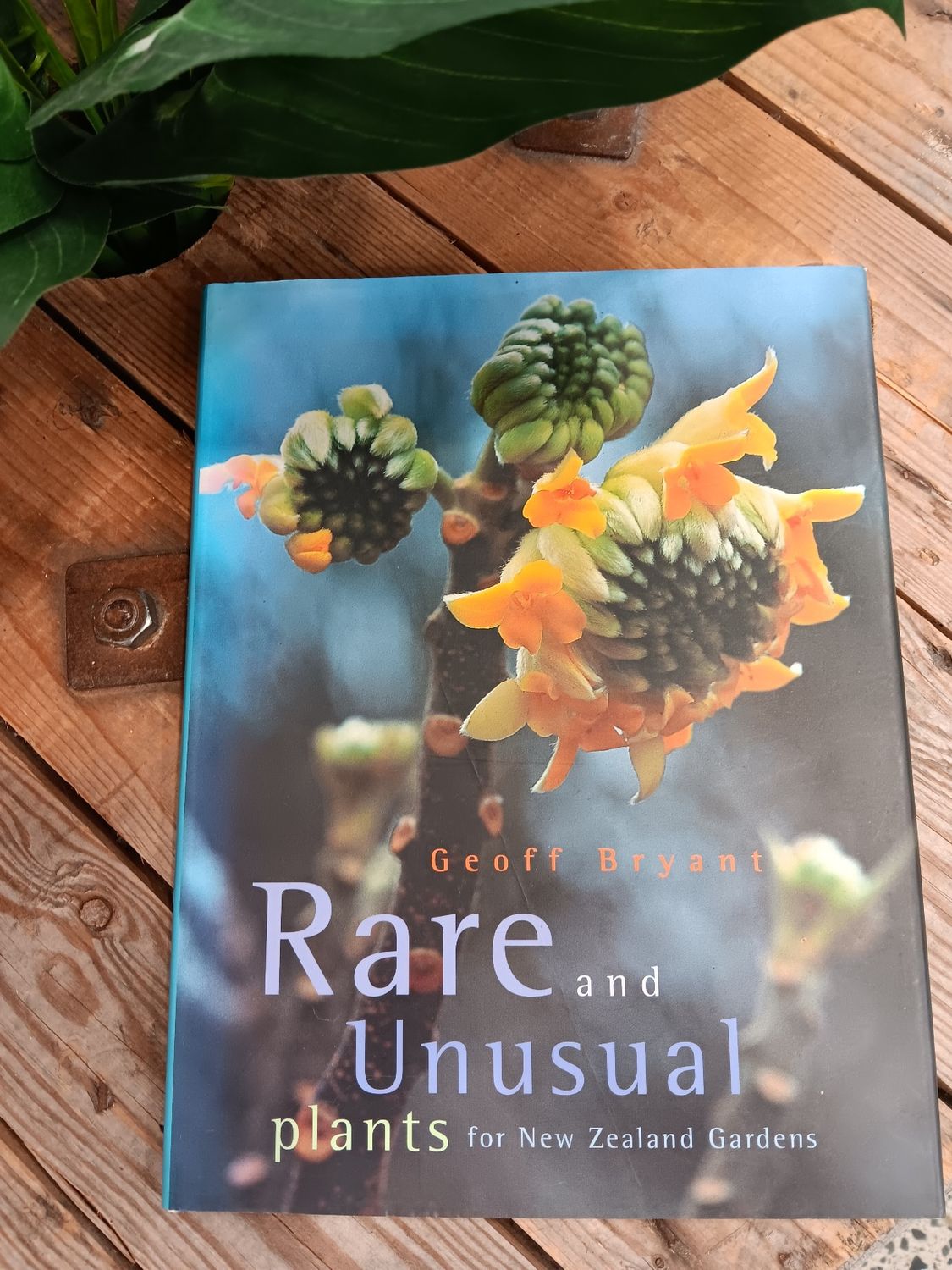 Book : Rare and Unusual Plants of NZ