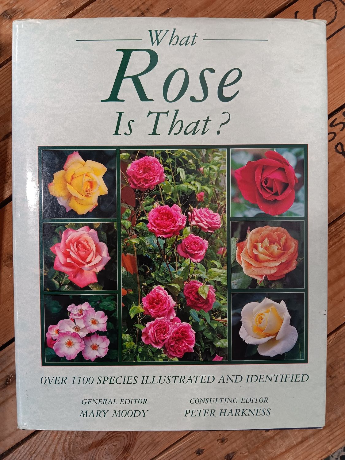Book: What Rose is That?