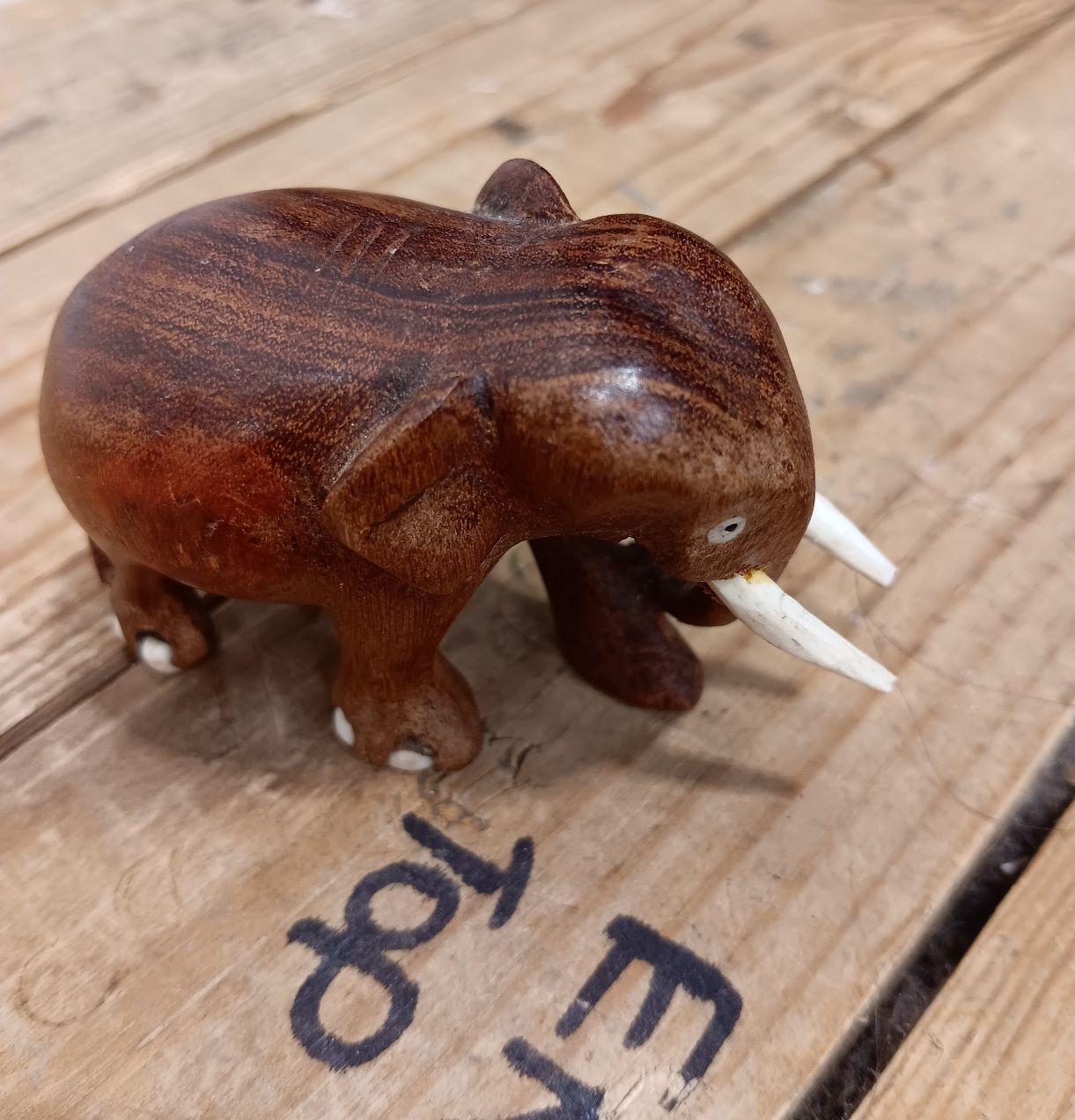 Elephant with tusks
