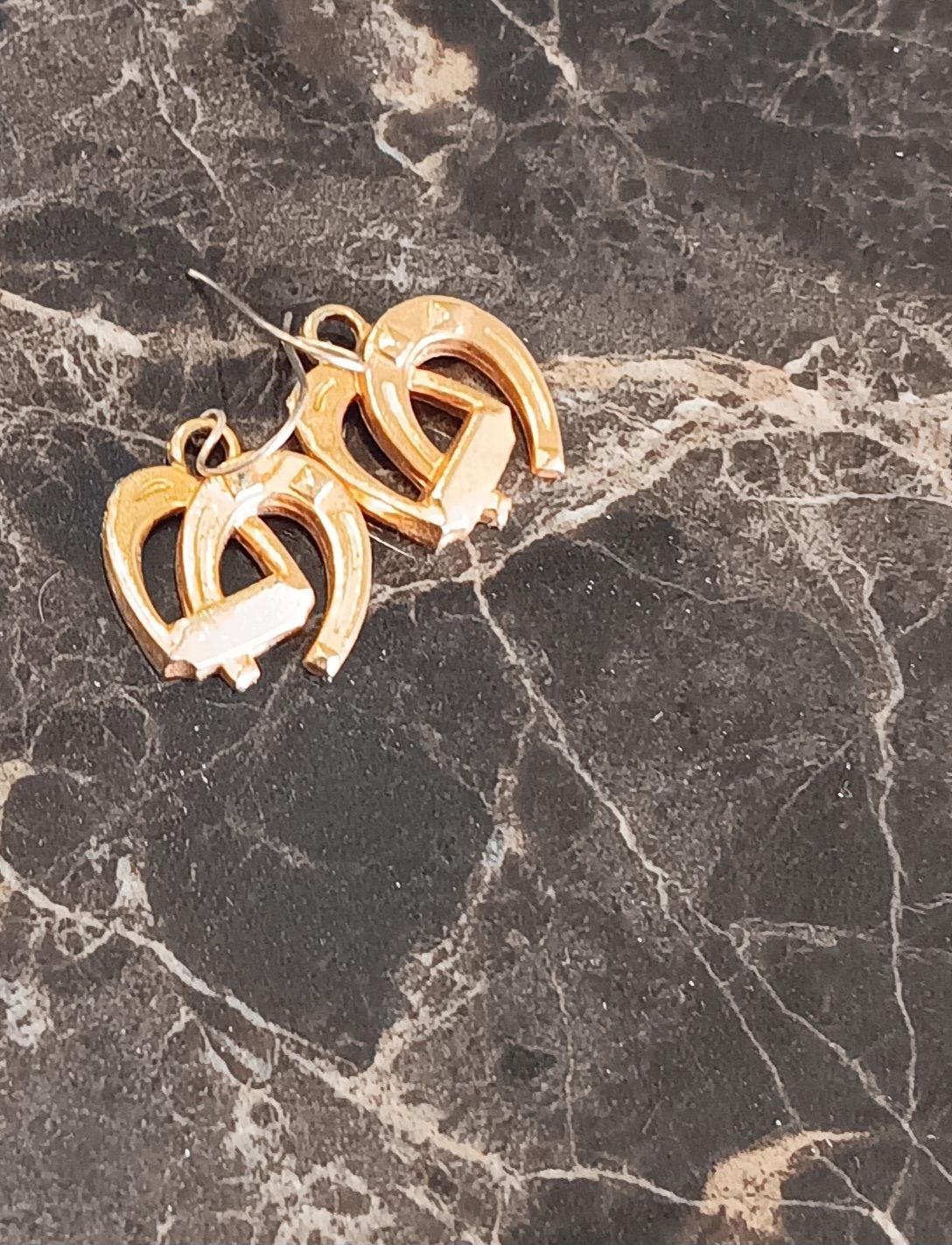 Horseshoe earrings