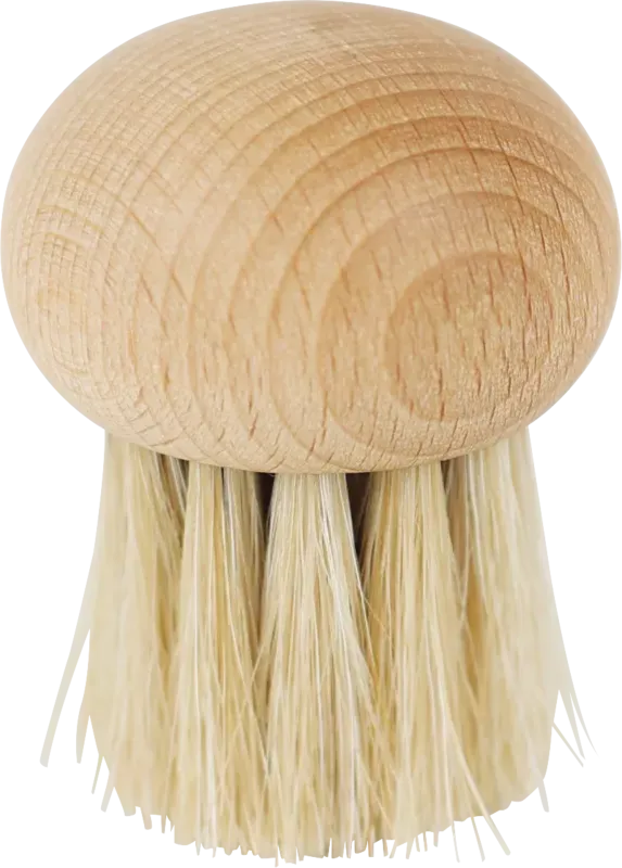 Champignonbürste