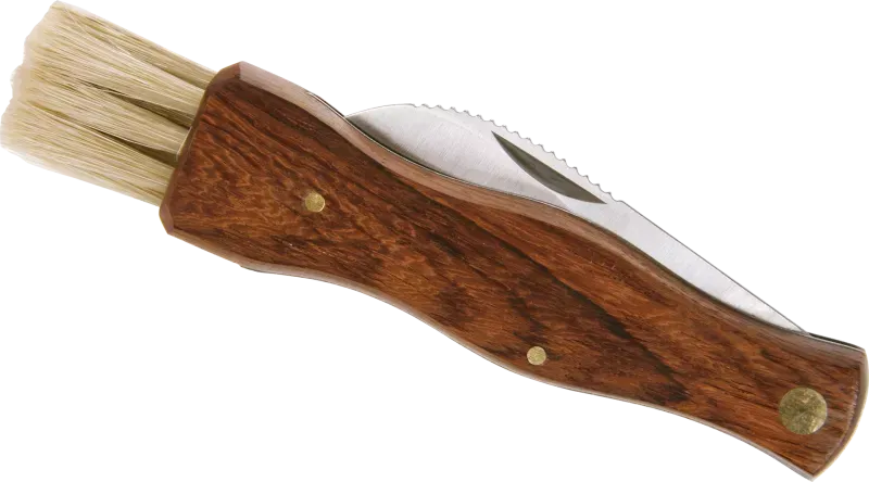 Pilz-Klappmesser