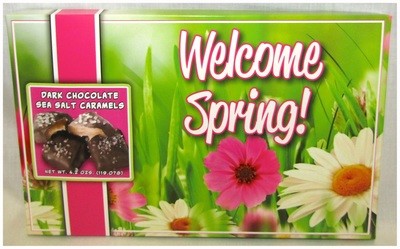 Spring 9.5" x 6" Box Filled With Dark Chocolate Sea Salt Caramels Net Wt 4.2 Oz
