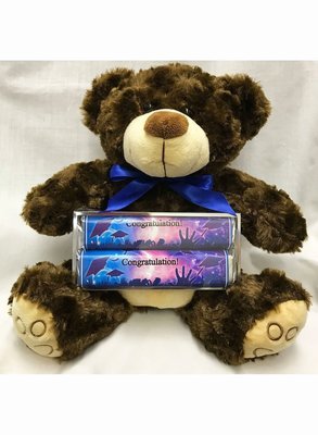 Graduation Celebrate Plush Bear with 2 Pack Candy Bars