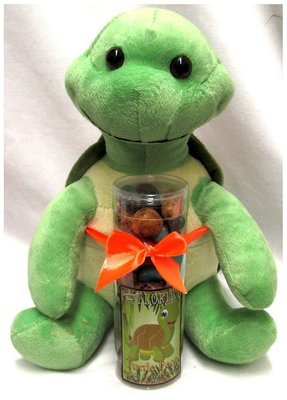 Florida Plush Turtle With Jelly Bean Rocks Tube