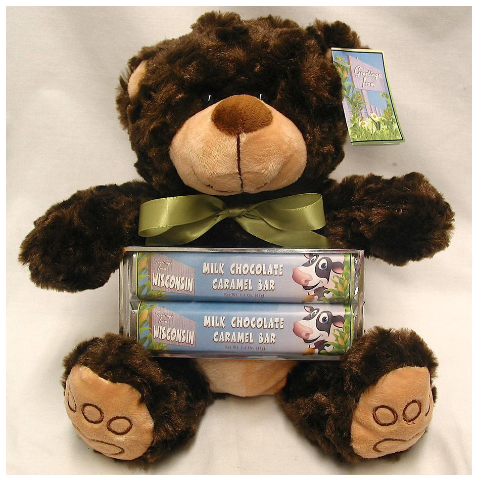 Wisconsin Farm Large Plush Bear with 2 Pack Candy Bars - Milk Chocolate Caramel