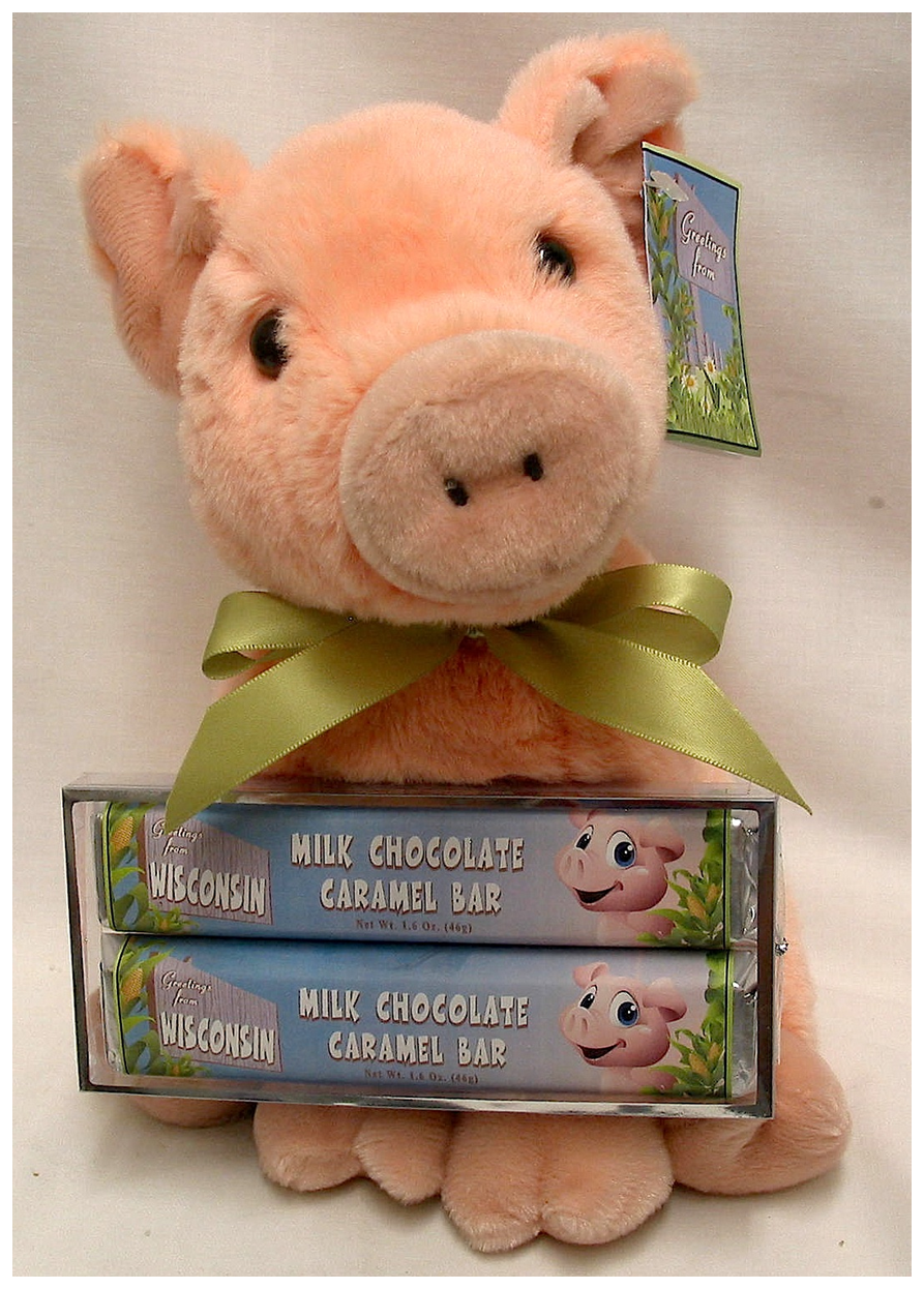 Wisconsin Farm Large Plush Pig with 2 Pack Candy Bars - Milk Chocolate Caramel