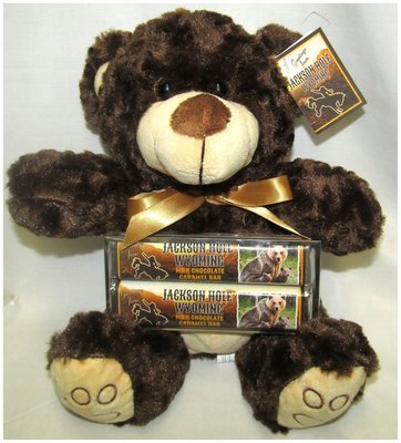 Wyoming 9' Bear with 2 Premium Milk Chocolate Caramel Bars