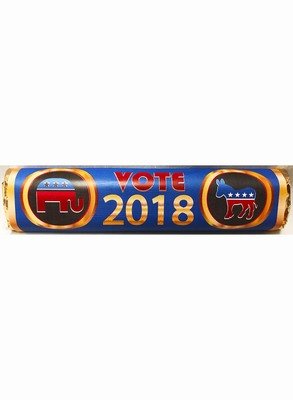 Election Campaigns