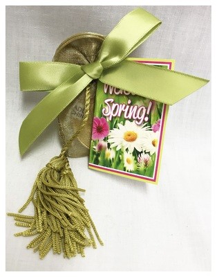 Spring Elegant Gold Bag with Chocolate Coins (2 Silver & 2 Gold)