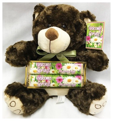Spring Plush Bear with 2 Pack Chocolate Bars