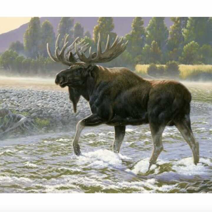 Nature's Finest Moose 36" Panel