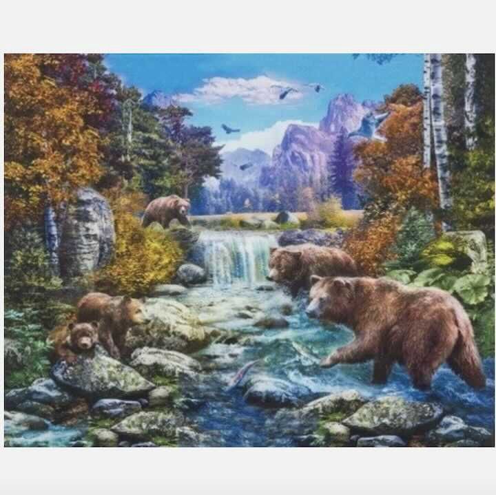RK Picture This Grizzly Panel