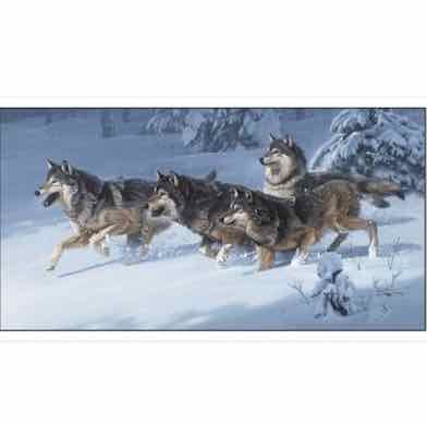 Canis Lupus 24" Panel