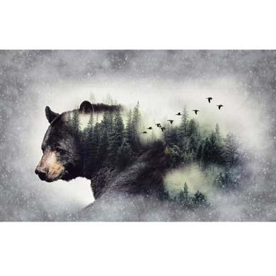 HF Call of the Wild Bear Panel