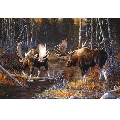 NC Majestic Moose Printed Panel