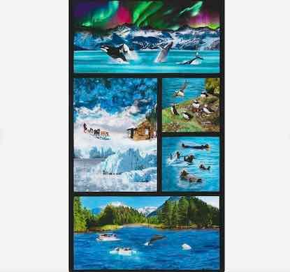 Nature's Wonder Ocean Life 24" Panel