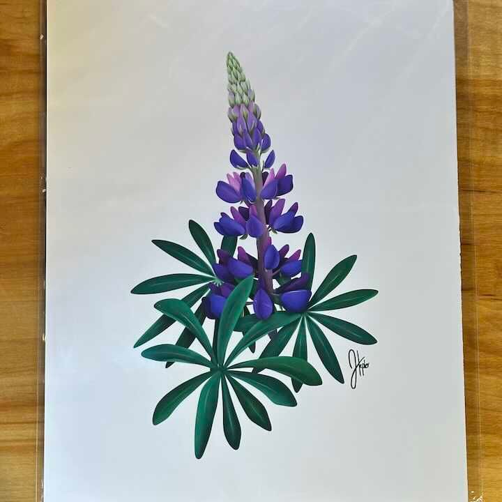 Alaska Rose Design Prints, Design: Lupine