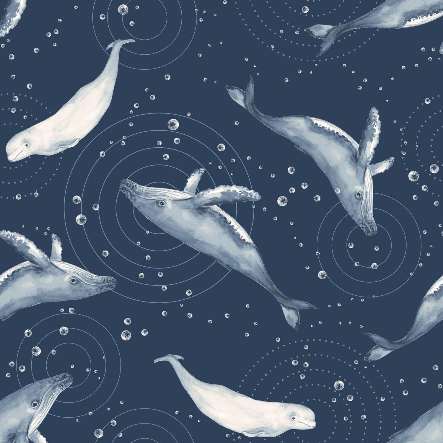 Humpbacks & Belugas | Polar Plungers Humpbacks & Belugas | Polar Plungers, Precut Size: Yard