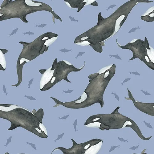 Orcas | Polar Plungers Orcas | Polar Plungers, Precut Size: Yard