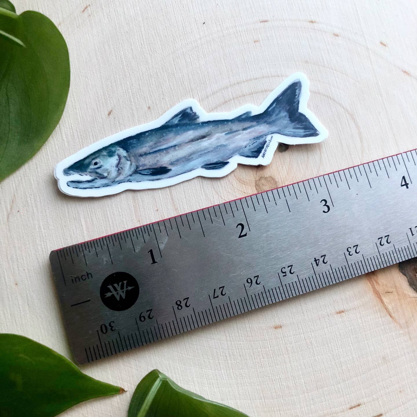 Fish Sticker Fish Sticker, Size: Small